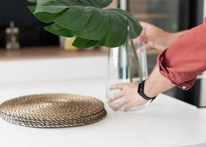 Profithome - Tabaiba Tenerife Vakantiehuis Santa Cruz de Tenerife